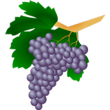 葡萄品种 图标
