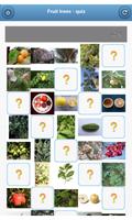 پوستر Fruit trees - quiz