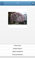 برنامه‌نما Fruit trees - quiz عکس از صفحه