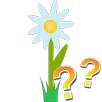 Flower beds - quiz APK