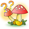 Mushrooms - quiz APK