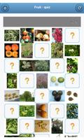 پوستر Fruit - quiz