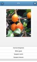 برنامه‌نما Fruit - quiz عکس از صفحه