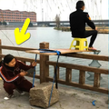 Funny Prank 2018