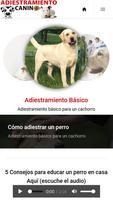 Cómo Adiestrar un Perro screenshot 1