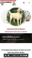 Cómo Adiestrar un Perro স্ক্রিনশট 1