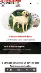 Cómo Adiestrar un Perro APK download
