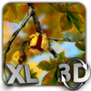 Autumn Leaves in HD Gyro 3D XL MOD