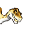 Fact Raptor APK