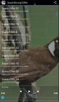 Kumpulan Suara Burung Cililin screenshot 1