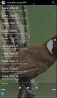 Kumpulan Suara Burung Cililin screenshot 3