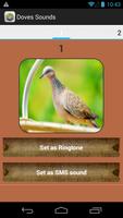 Spotted Dove Sound Collections скриншот 1