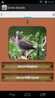 Spotted Dove Sound Collections скриншот 2