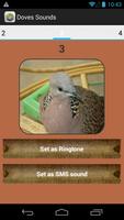 Spotted Dove Sound Collections скриншот 3