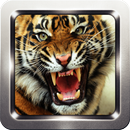 Tiger Roar Sound Collection APK
