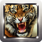 Tiger Roar Sound Collection icône