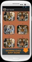 Tiger Roar Sound Collection Affiche