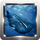 Whale Shark Wallpapers APK