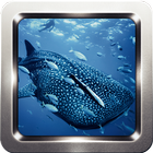 Icona Whale Shark Wallpapers
