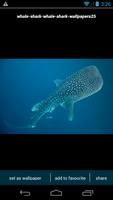 Poster Whale Shark Wallpapers