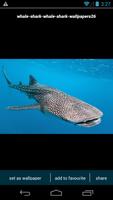 3 Schermata Whale Shark Wallpapers