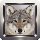 Wolf Growl Sound Collection icône