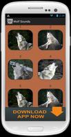 Wolf Growl Sound Collection Affiche