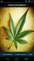 Marijuana Wallpapers 스크린샷 1