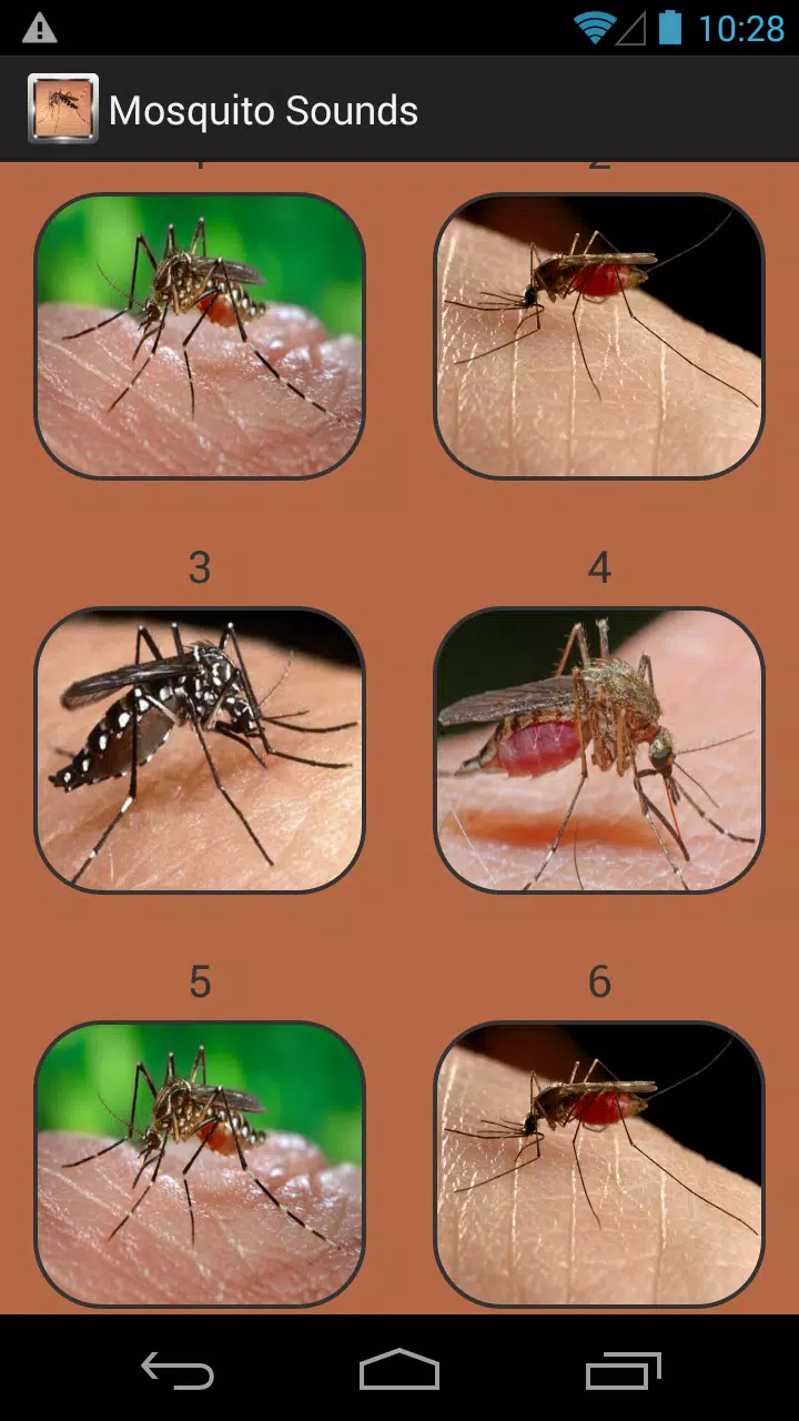 Mosquito Sound Collection APK for Android Download