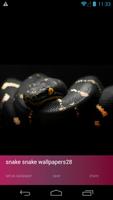 Snake Picture Wallpapers 截圖 3