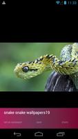Snake Picture Wallpapers 截圖 2