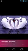 Beautiful Swan Wallpapers स्क्रीनशॉट 1