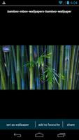 Bamboo Forest HD Wallpapers 截圖 3