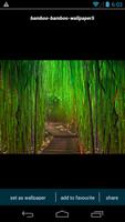 Bamboo Forest HD Wallpapers ポスター