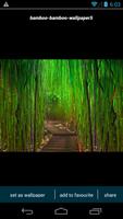 Bamboo Forest HD Wallpapers-poster