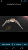1 Schermata Bat HD Wallpapers