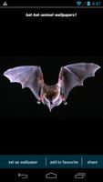 Bat HD Wallpapers 스크린샷 2