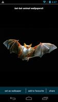 3 Schermata Bat HD Wallpapers