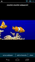 Clownfish Wallpapers 截圖 1