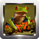 Frog Sound Collection APK