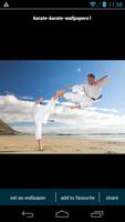 Karate Wallpapers plakat