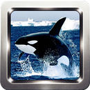 Killer Whale Wallpapers APK