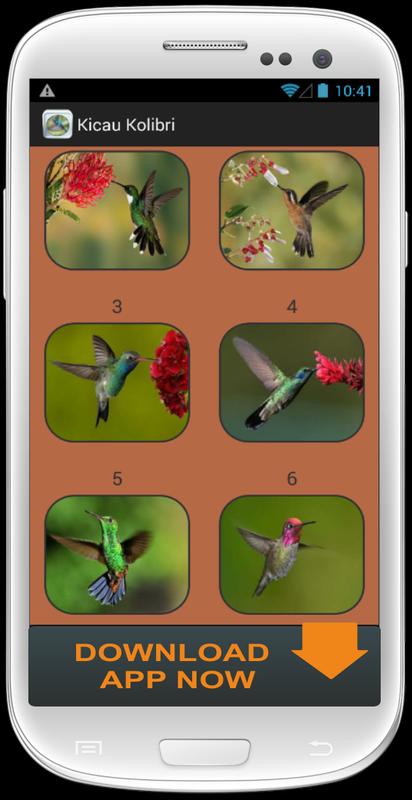 mockingbird sounds download Mockingbird sounds ringtone for android apk download.