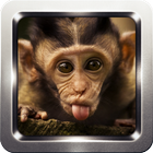 Monkey Sound Collection icône