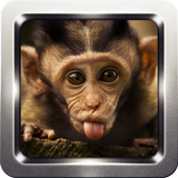 Monkey Sound Collection 圖標
