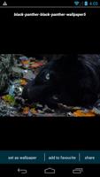 Black Panther Wallpapers capture d'écran 2