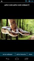 Python Snake Wallpapers पोस्टर