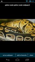Python Snake Wallpapers capture d'écran 2