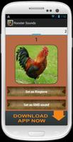 Rooster and Chicken Sounds اسکرین شاٹ 1
