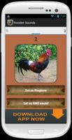 Rooster and Chicken Sounds اسکرین شاٹ 2